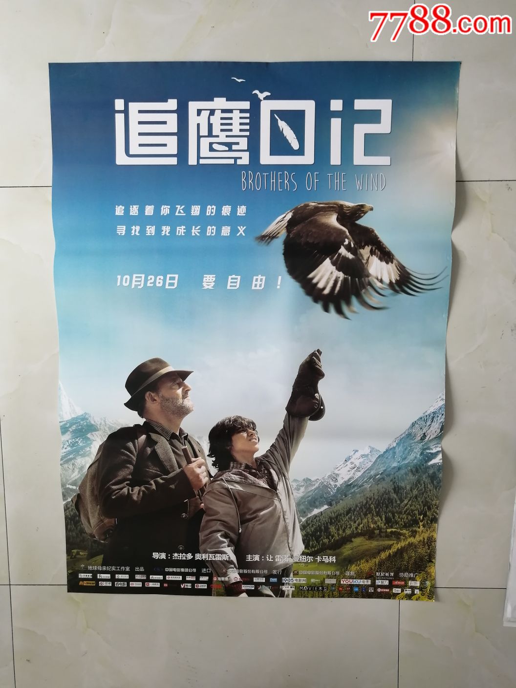 追鹰日记_电影海报_万龙聚宝阁【7788收藏__收藏热线】