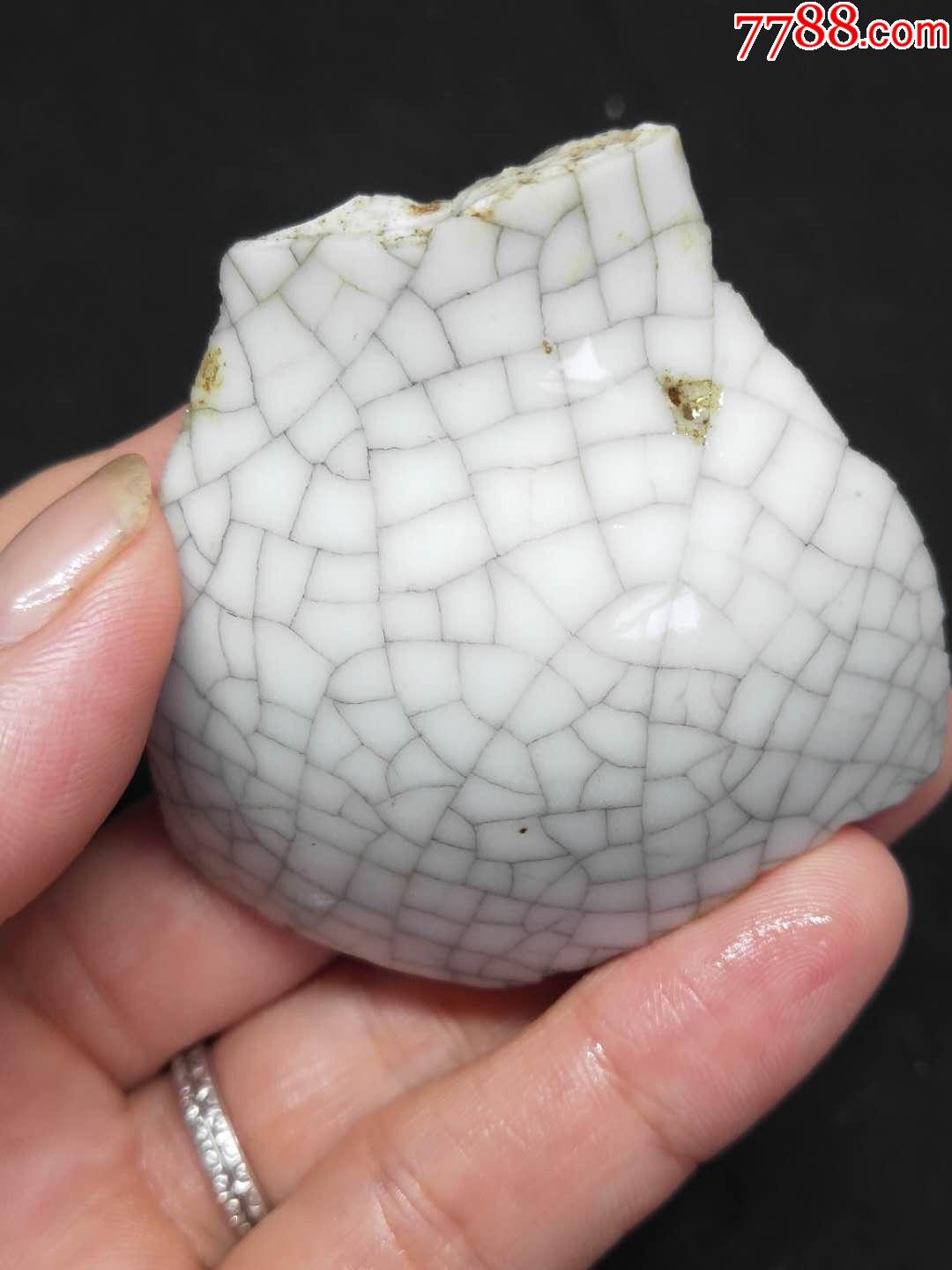 明代哥釉瓷片标本