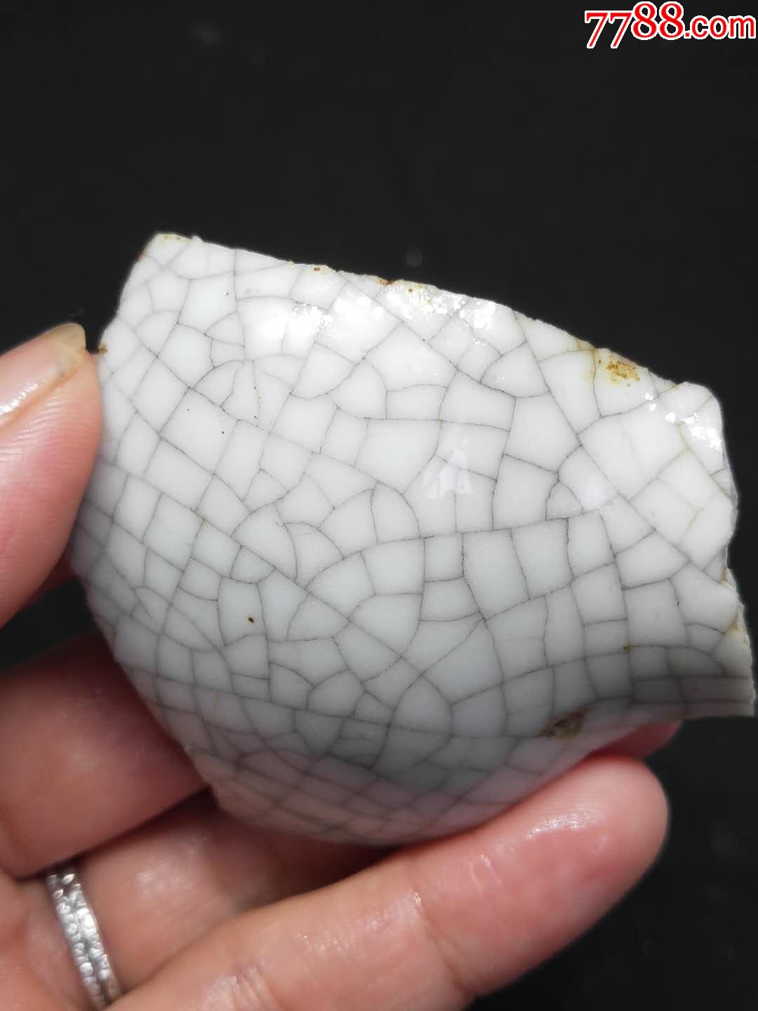 明代哥釉瓷片标本