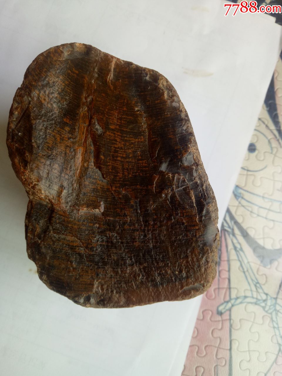 "商品>>>>商店【大汶河陨石】"硅化木