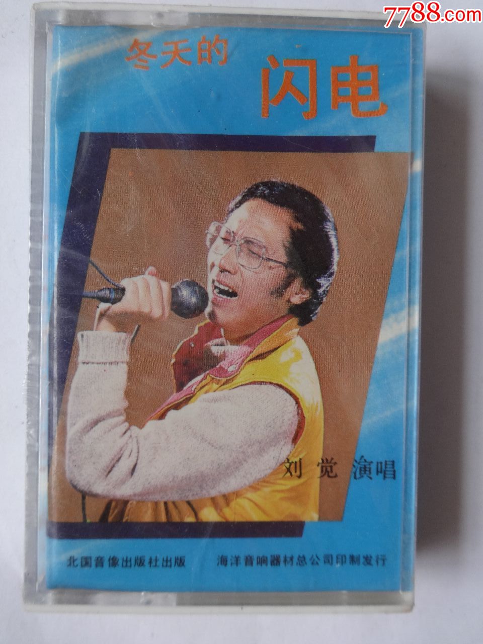 刘觉冬天的闪电