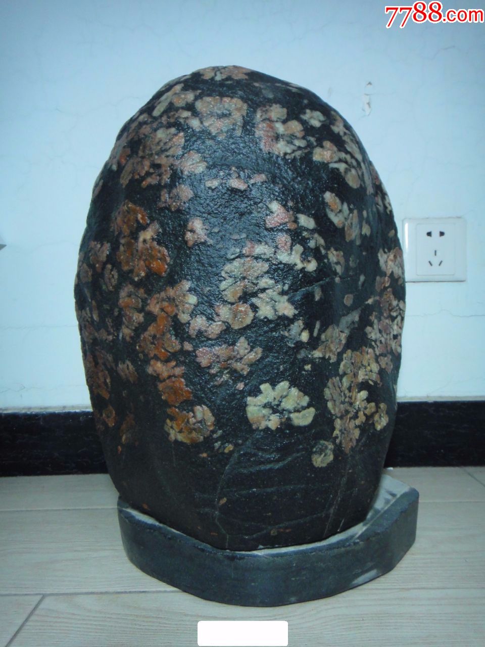 洛阳红牡丹石原石锦绣山河喜迎贵客来开店大酬宾