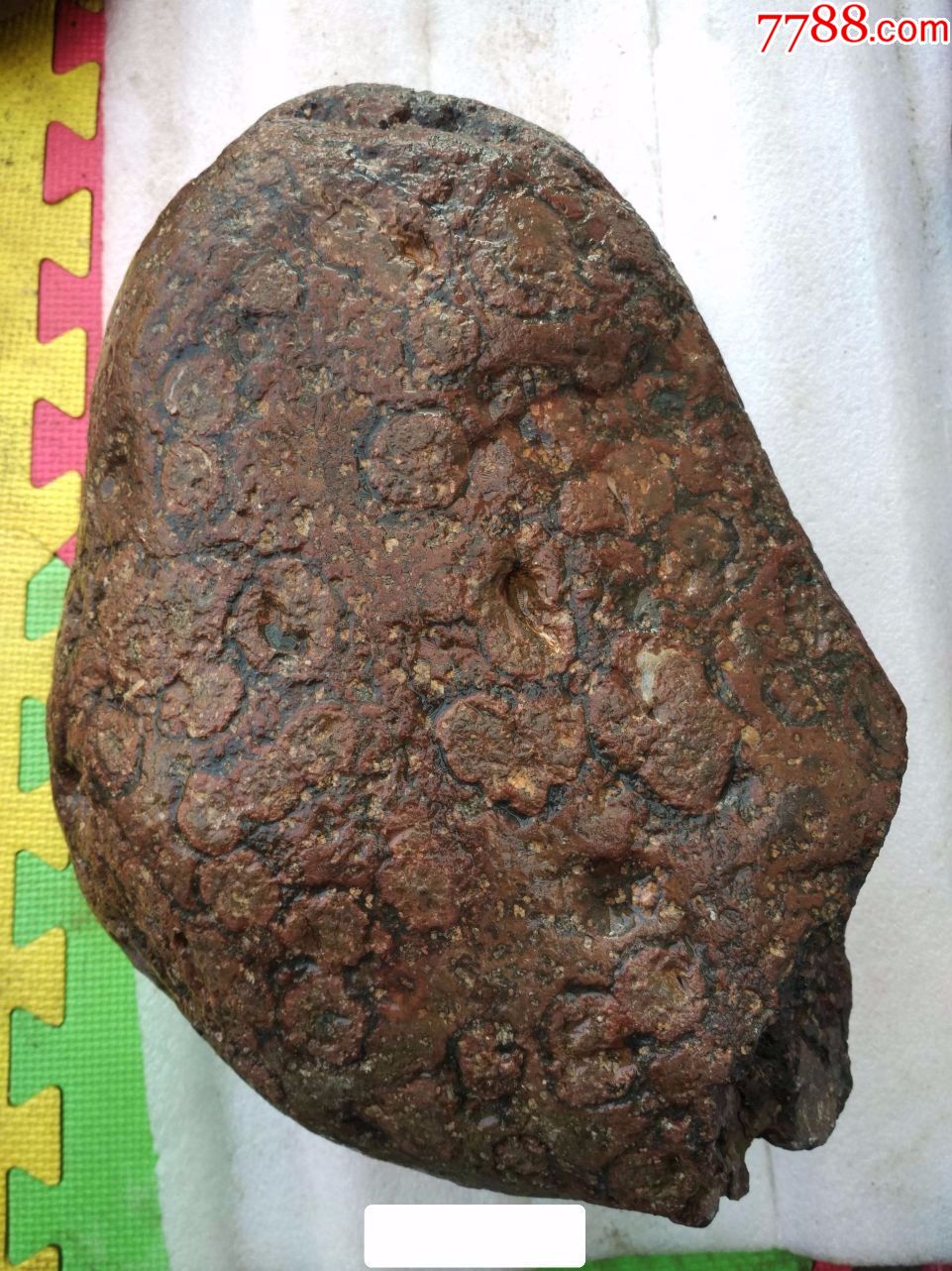 金钱石"原石11号(钱很圆正)(喜迎贵客来,开店大酬宾)_价格18元_第1张