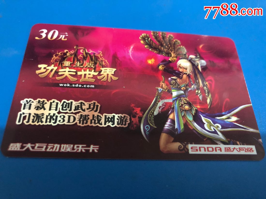 盛大互动功夫世界