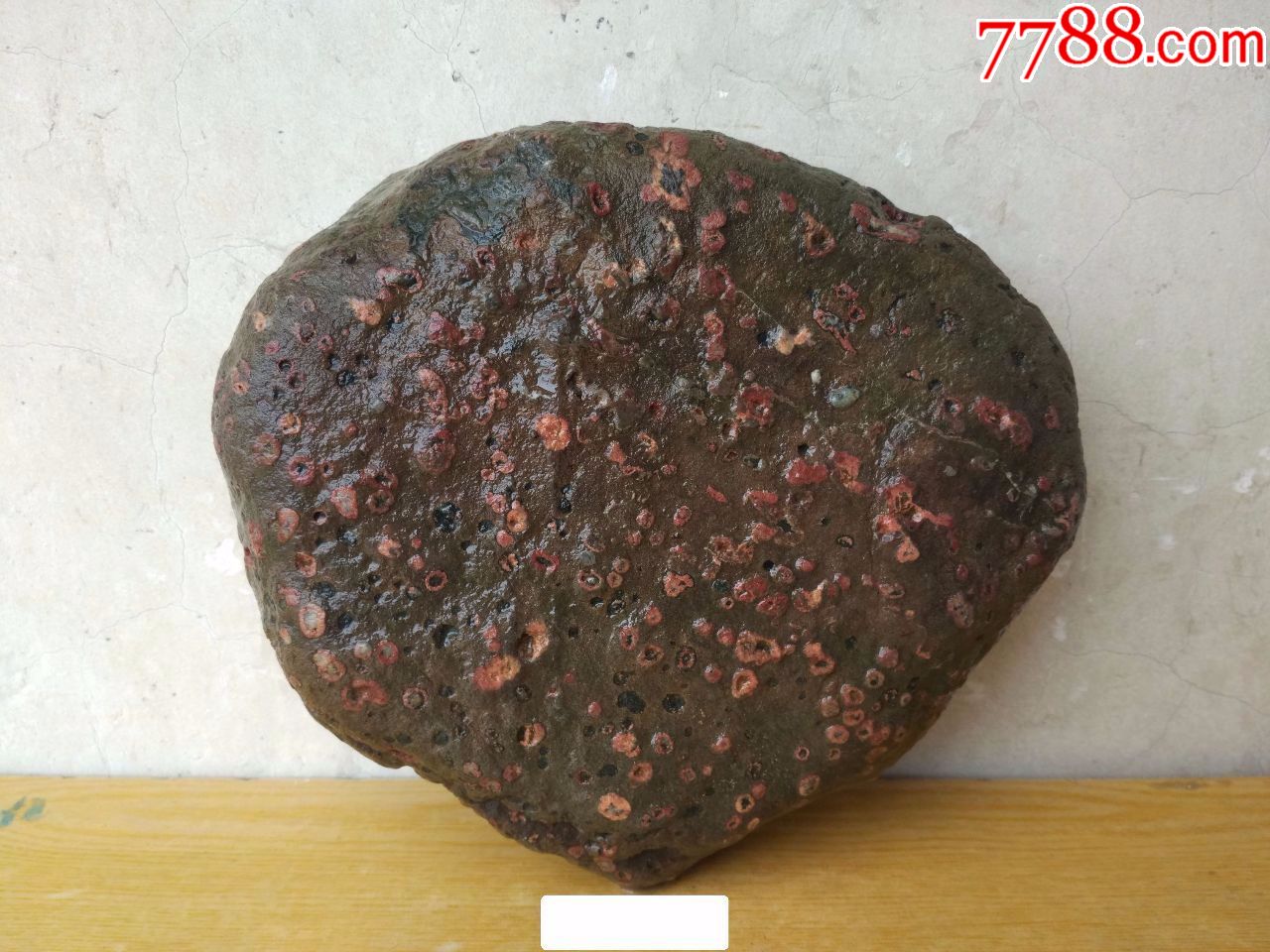 洛阳梅花石原石78红梅团扇喜迎贵客来开店大酬宾