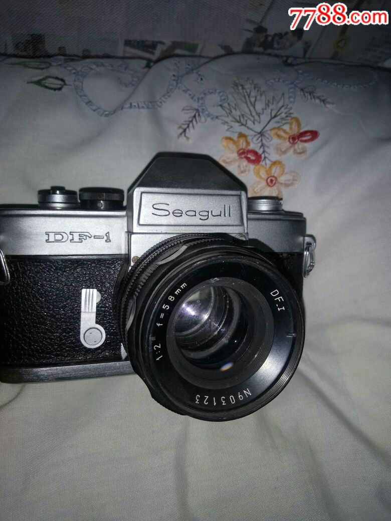 海鸥df相机