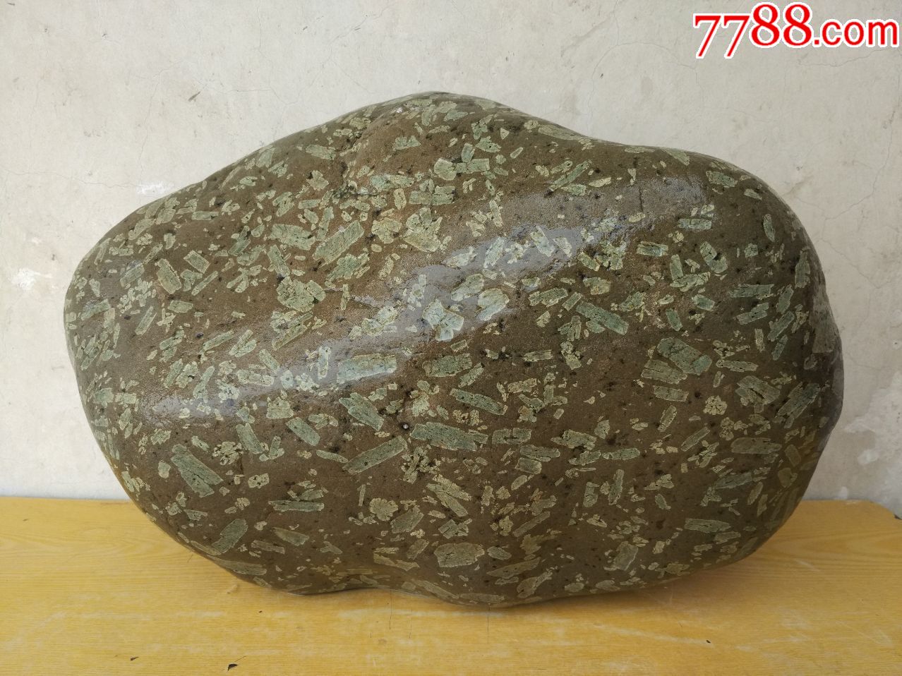 洛阳奇石258菊花石原石画面纯净石型完美重约40斤