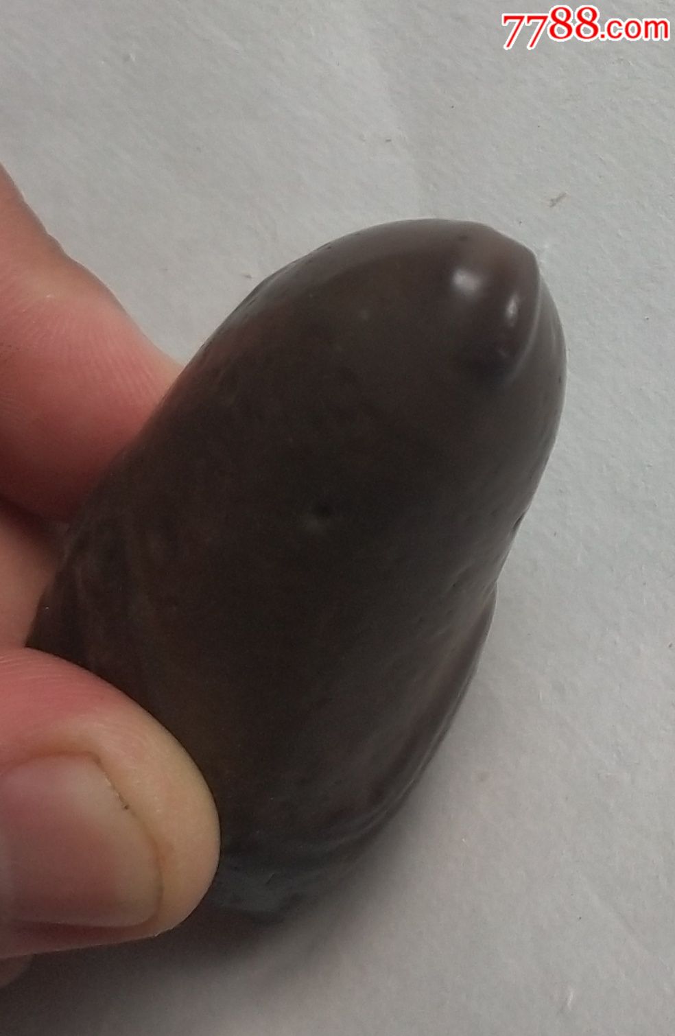 《勃起的龟头,厚重的包皮》(阿拉善戈壁石奇石