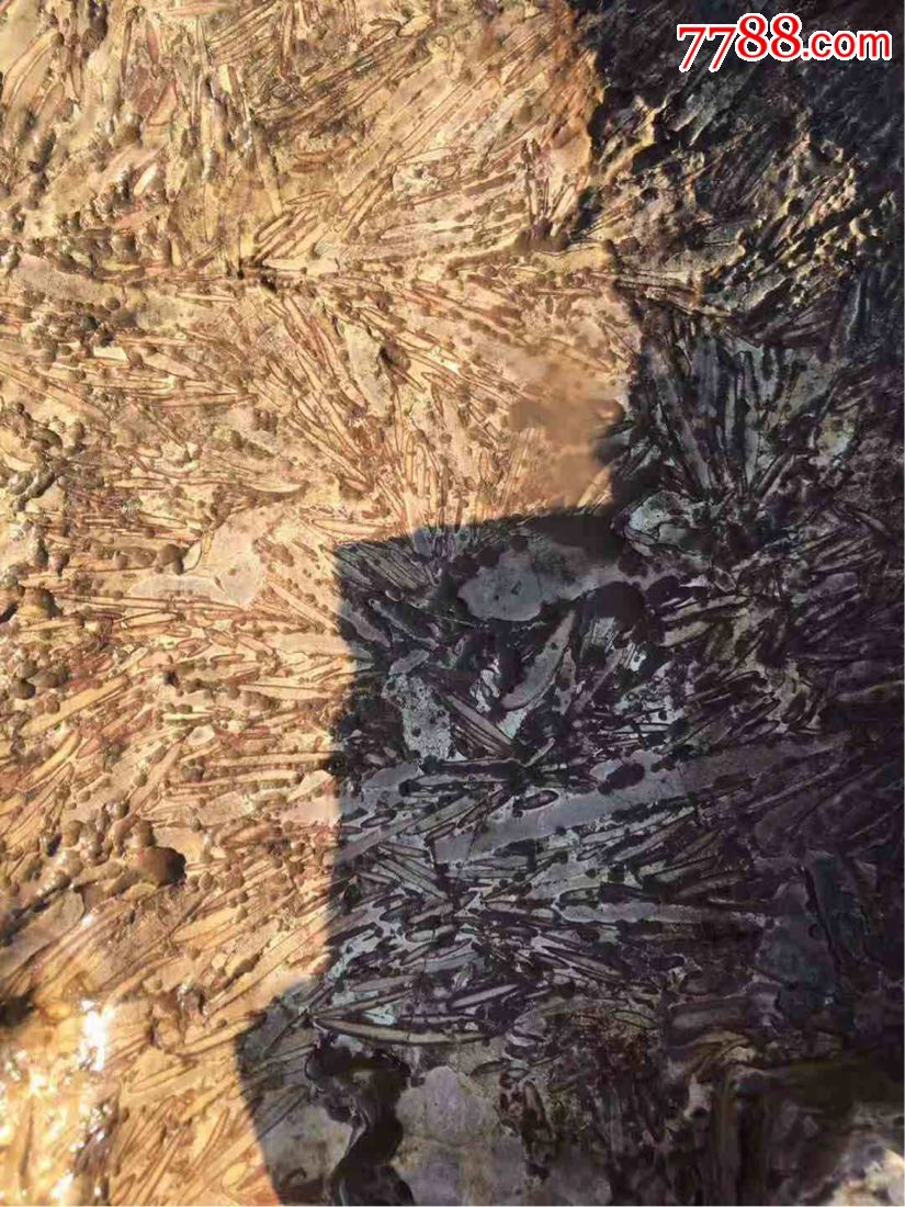 大美海棠,标本,柳叶石,明代.-其他奇石/岩石-7788工艺品