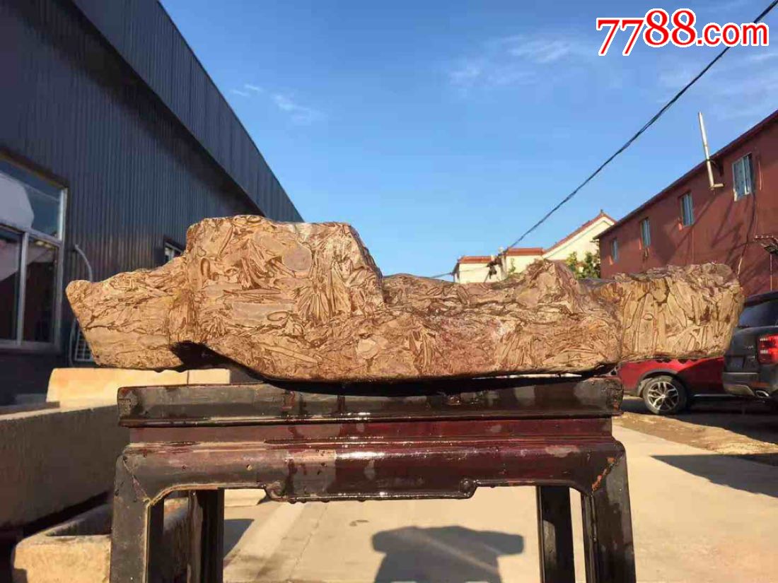 大美海棠,标本,柳叶石,明代._其他奇石/岩石_第6张_7788瓷器