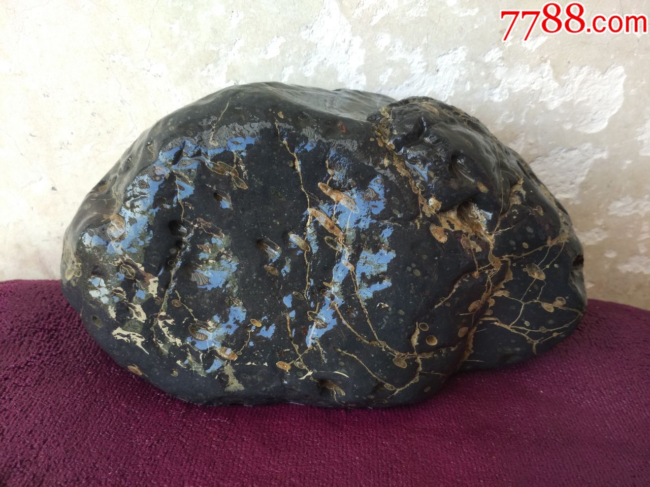 洛阳梅花玉原石941金丝连金梅造型独特色彩统一