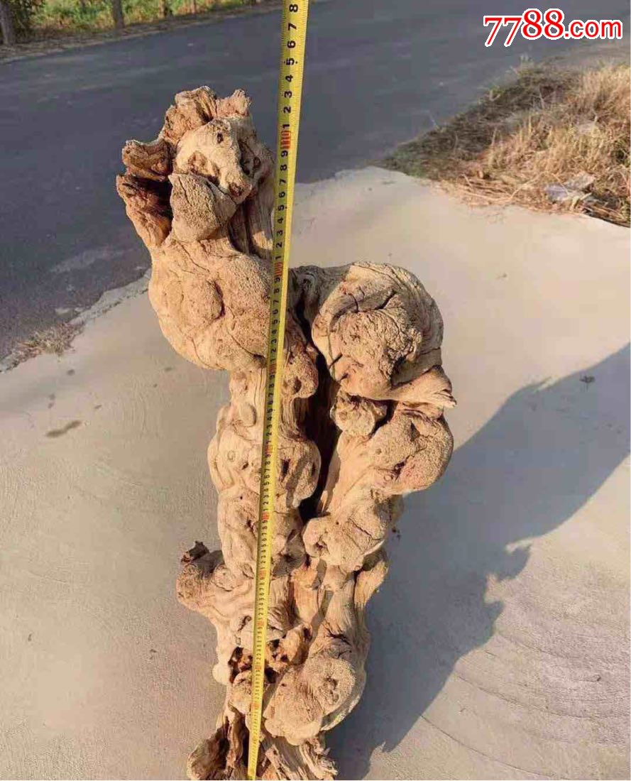 百年风化核桃木,根眼瘤疤,相当漂亮,全品.-其他根雕/木雕-7788收藏