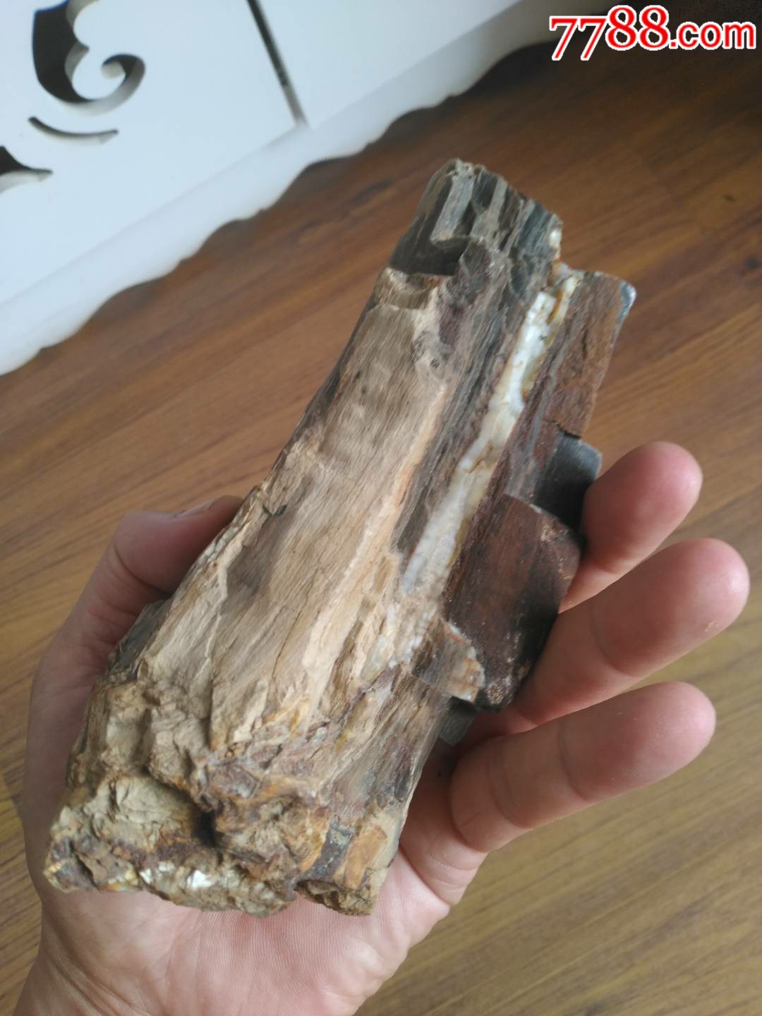 奇怪像树一样的石头