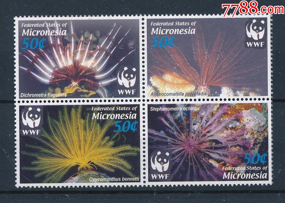 密克罗尼西亚邮票熊猫徽wwf海洋生物新4全2005年
