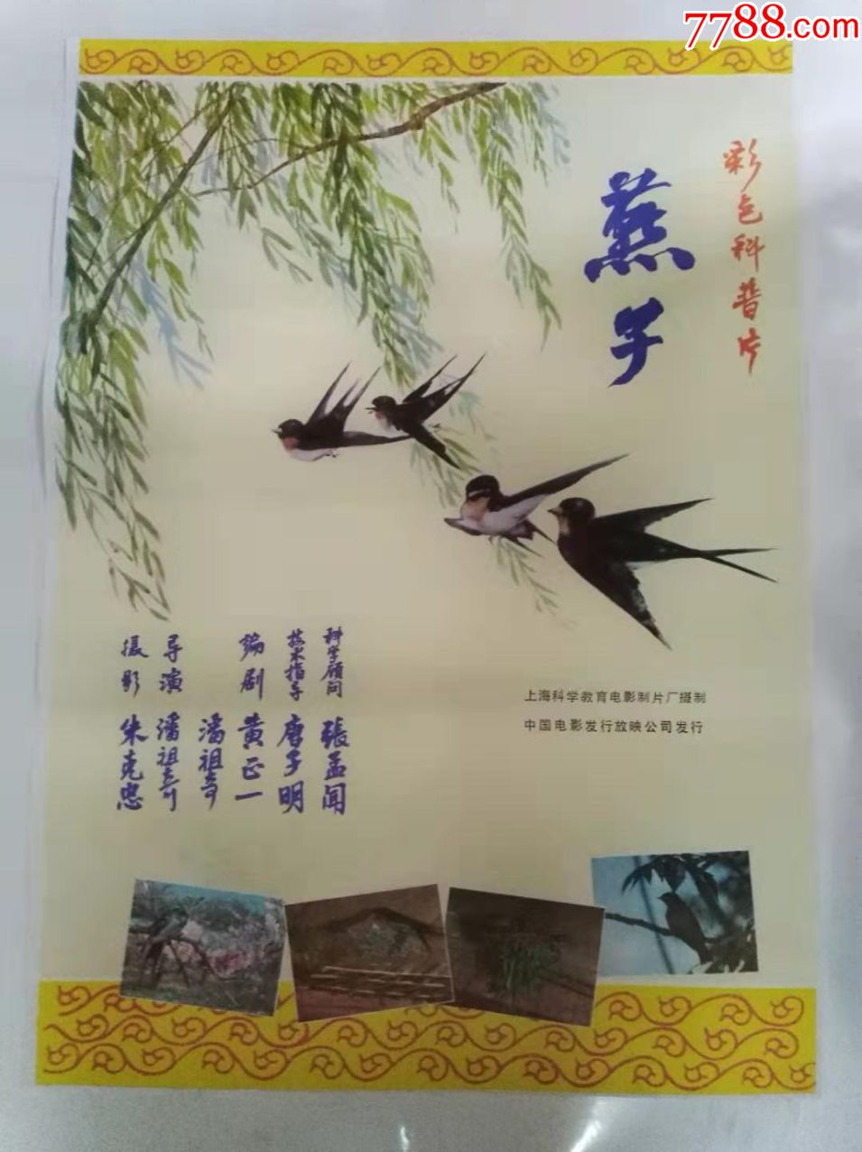 燕子-价格:80元-se68138381-电影海报-零售-7788收藏__收藏热线