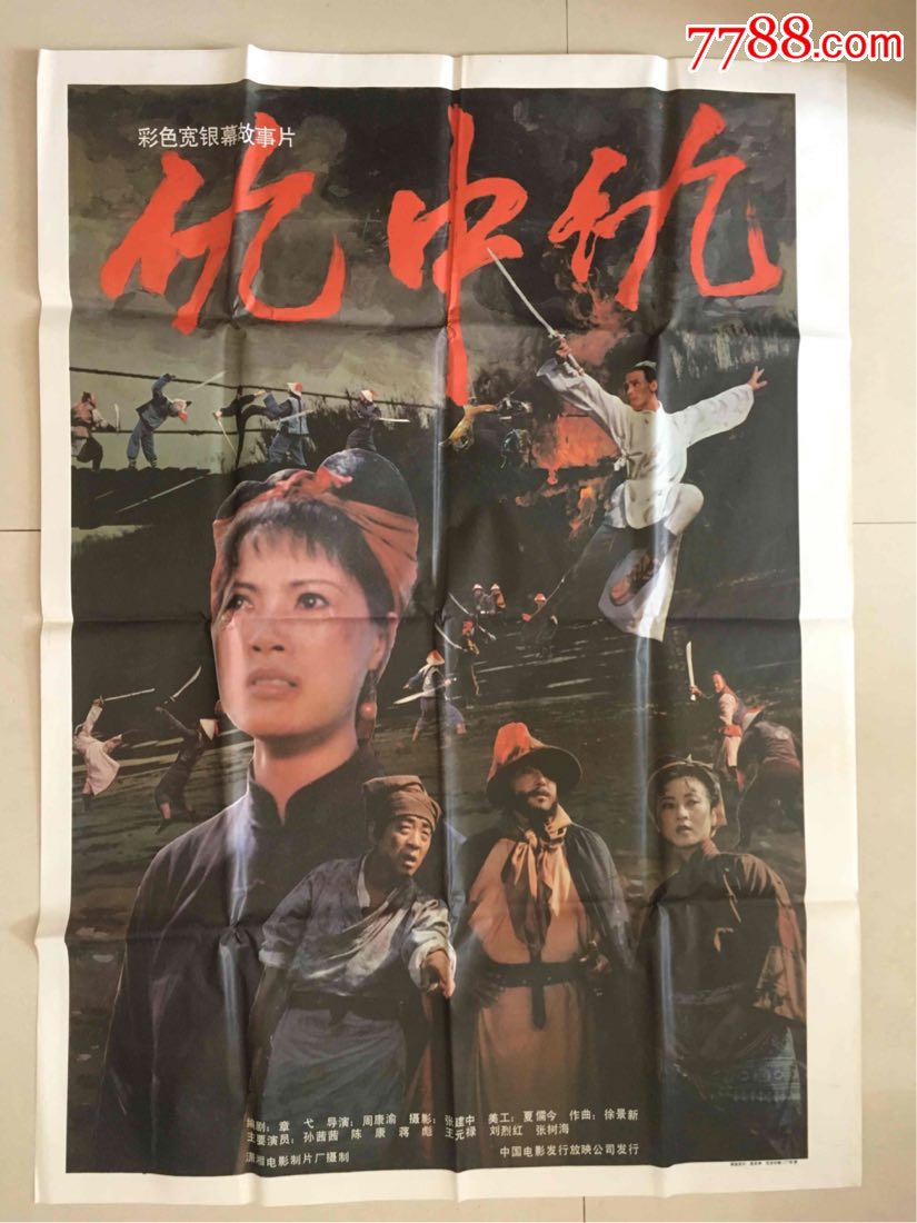 电影海报仇中仇