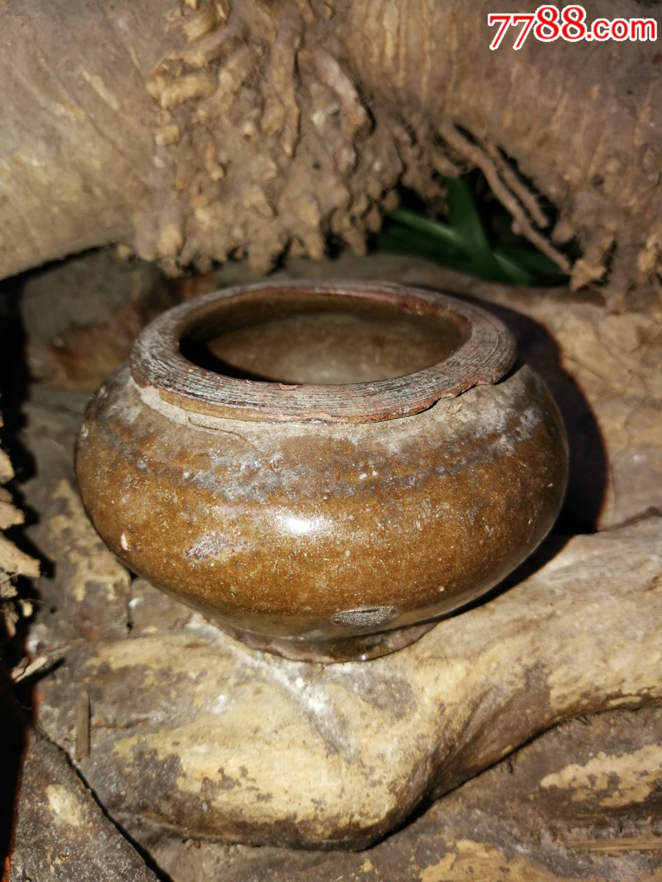 宋代老水盂