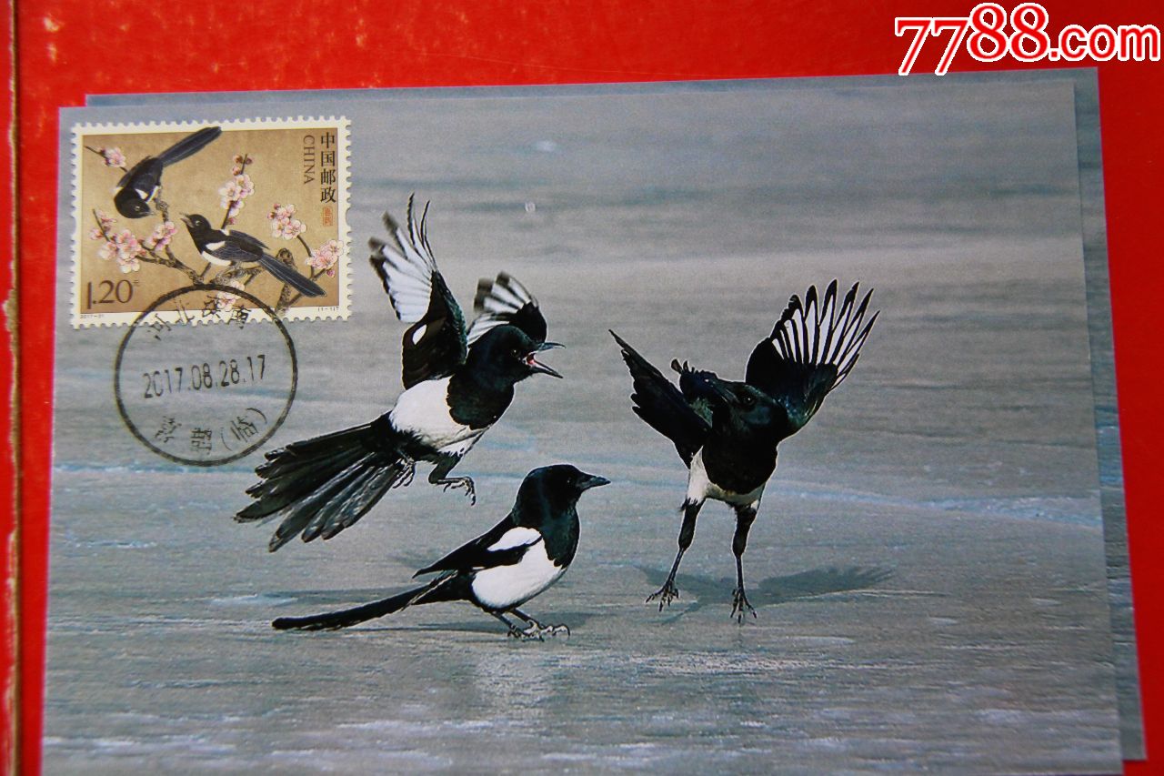 喜鹊极限明信片