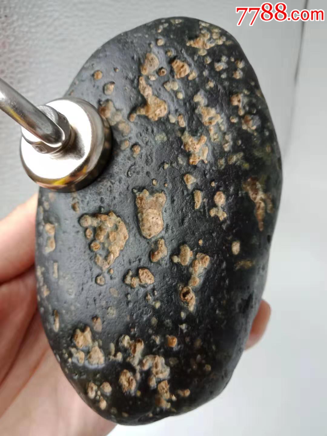 火星陨石(中磁)