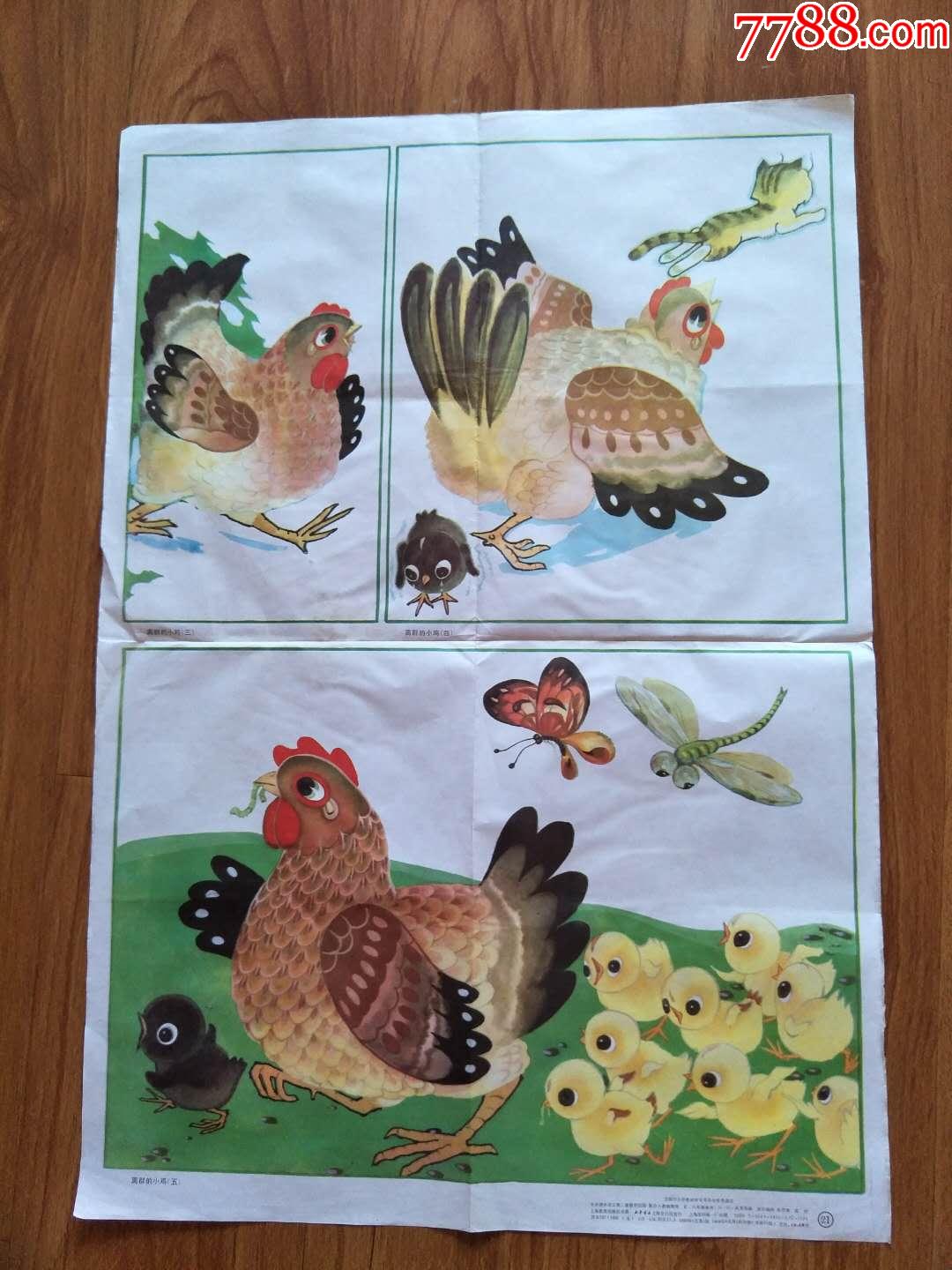 小学语文教学挂图离群的小鸡5