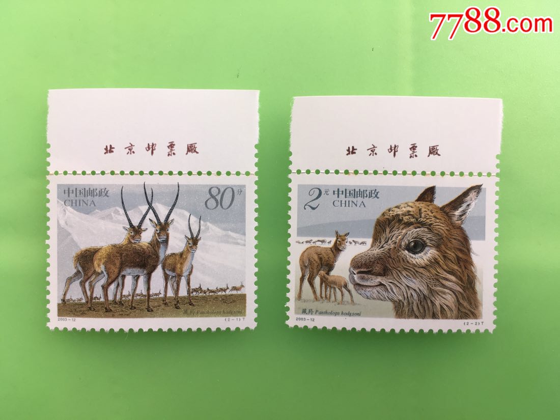 藏羚羊-价格:6元-se68561437-新中国邮票-零售-7788收藏__收藏热线