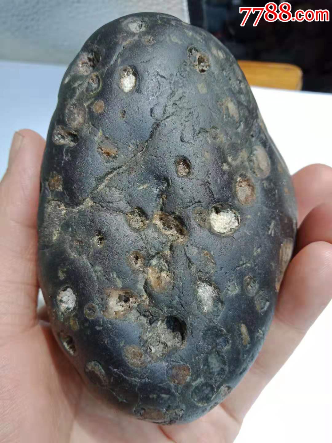 石铁橄榄陨石(强磁,透光)