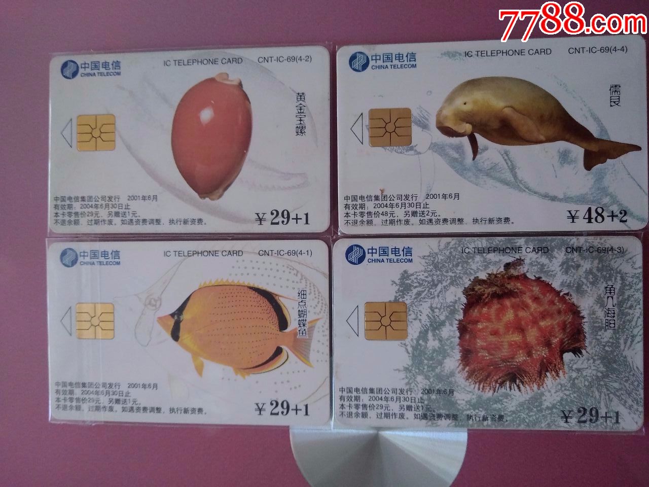 海洋珍稀生物_ip卡/密码卡【文化餐厅】_第2张_7788铜器收藏