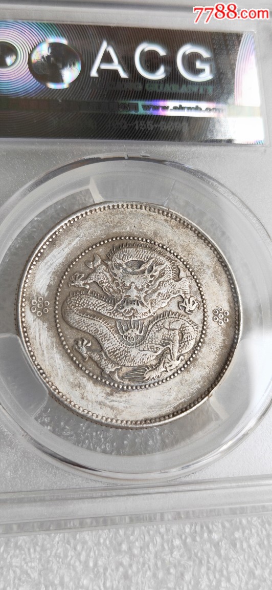 云南新龙半圆龙