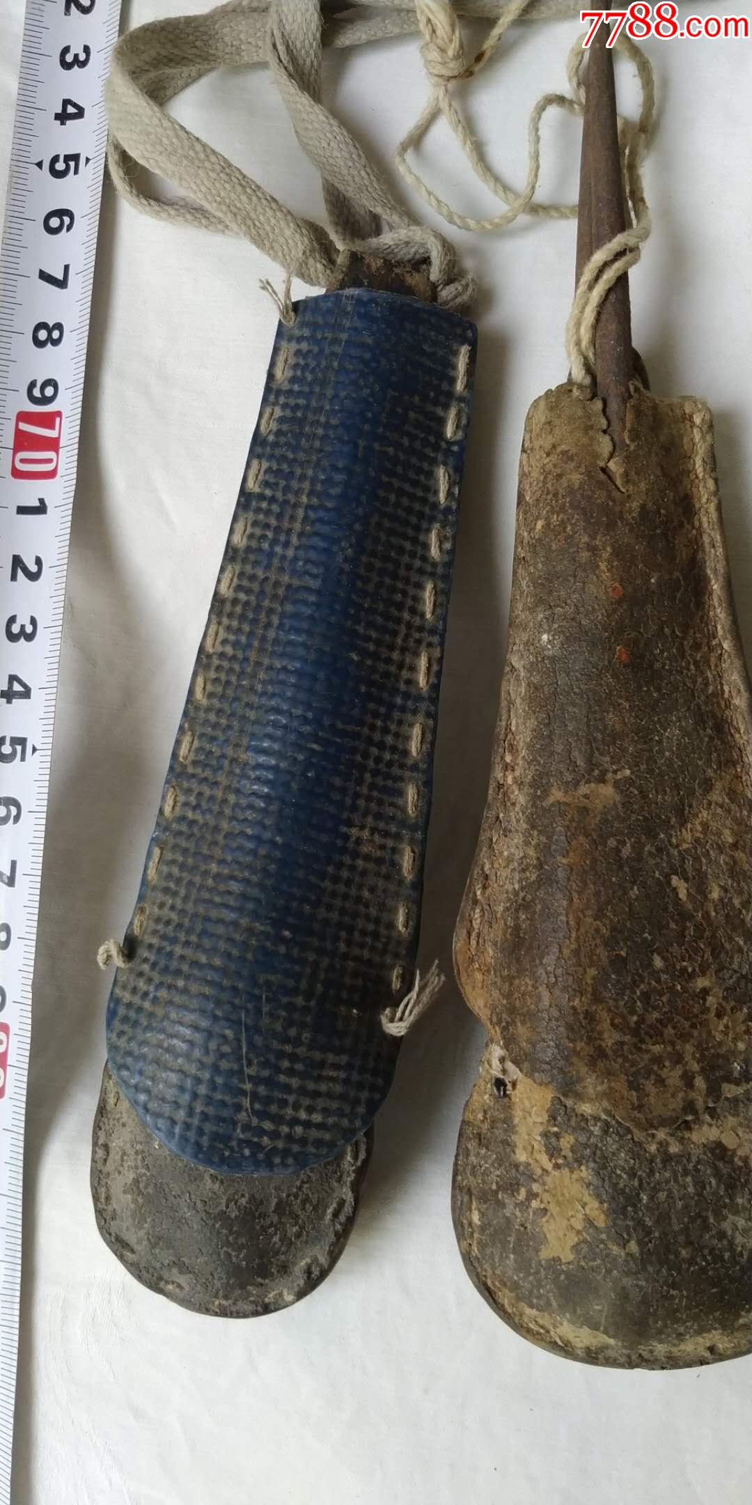 动物计划生育工具.