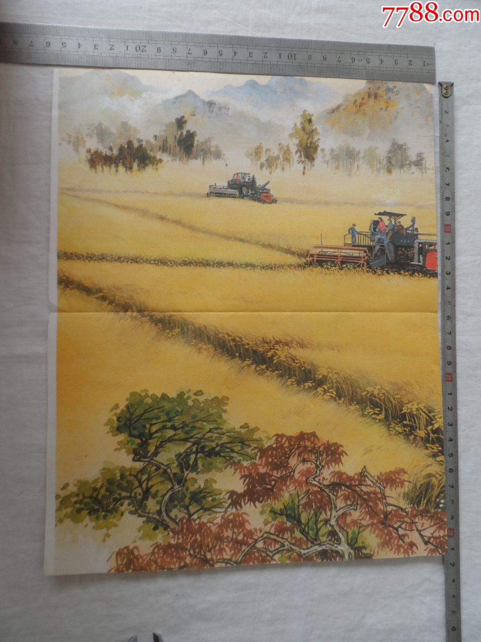 机械化收割20191003