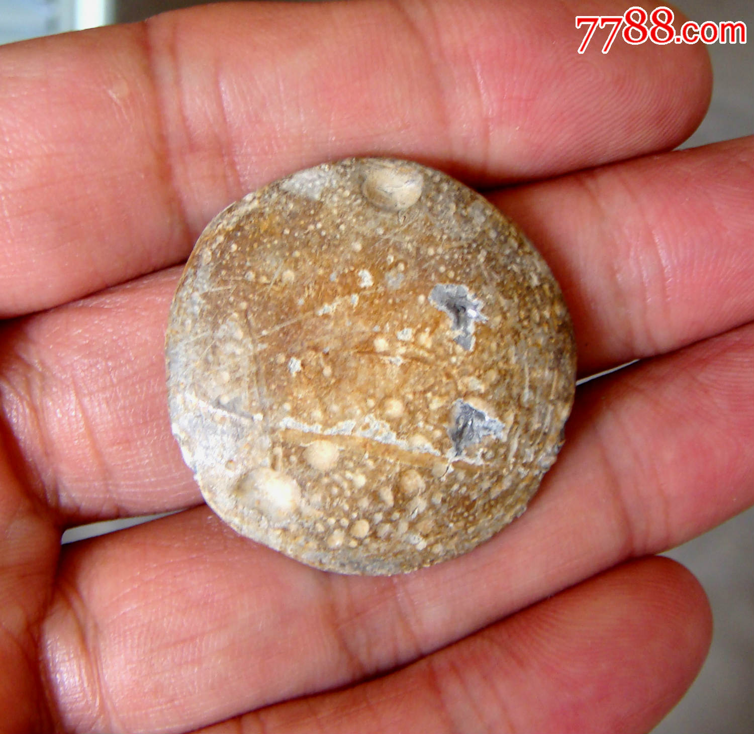 白金三品汉铅质钱币重306克