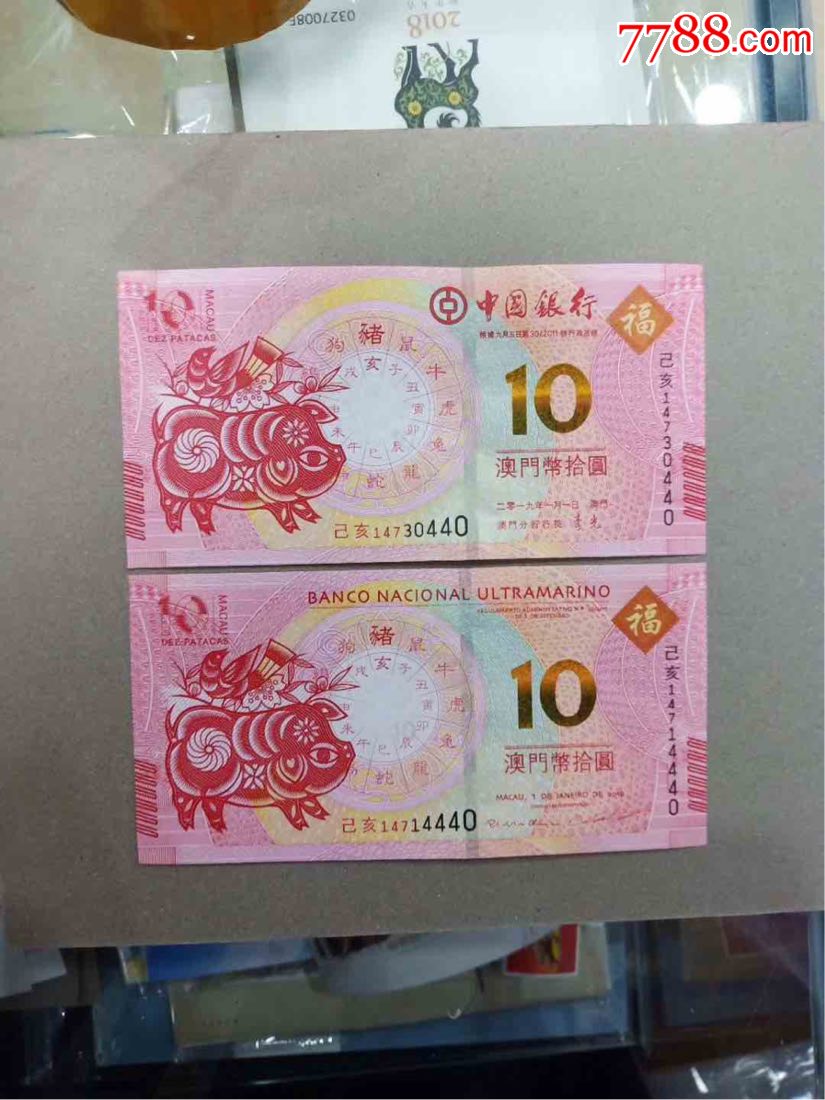 中国澳门10元2019年猪生肖贺岁纪念钞澳门猪钞对钞保真