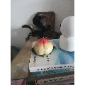 蜡制寿桃(se68886866)_7788收藏__收藏热线