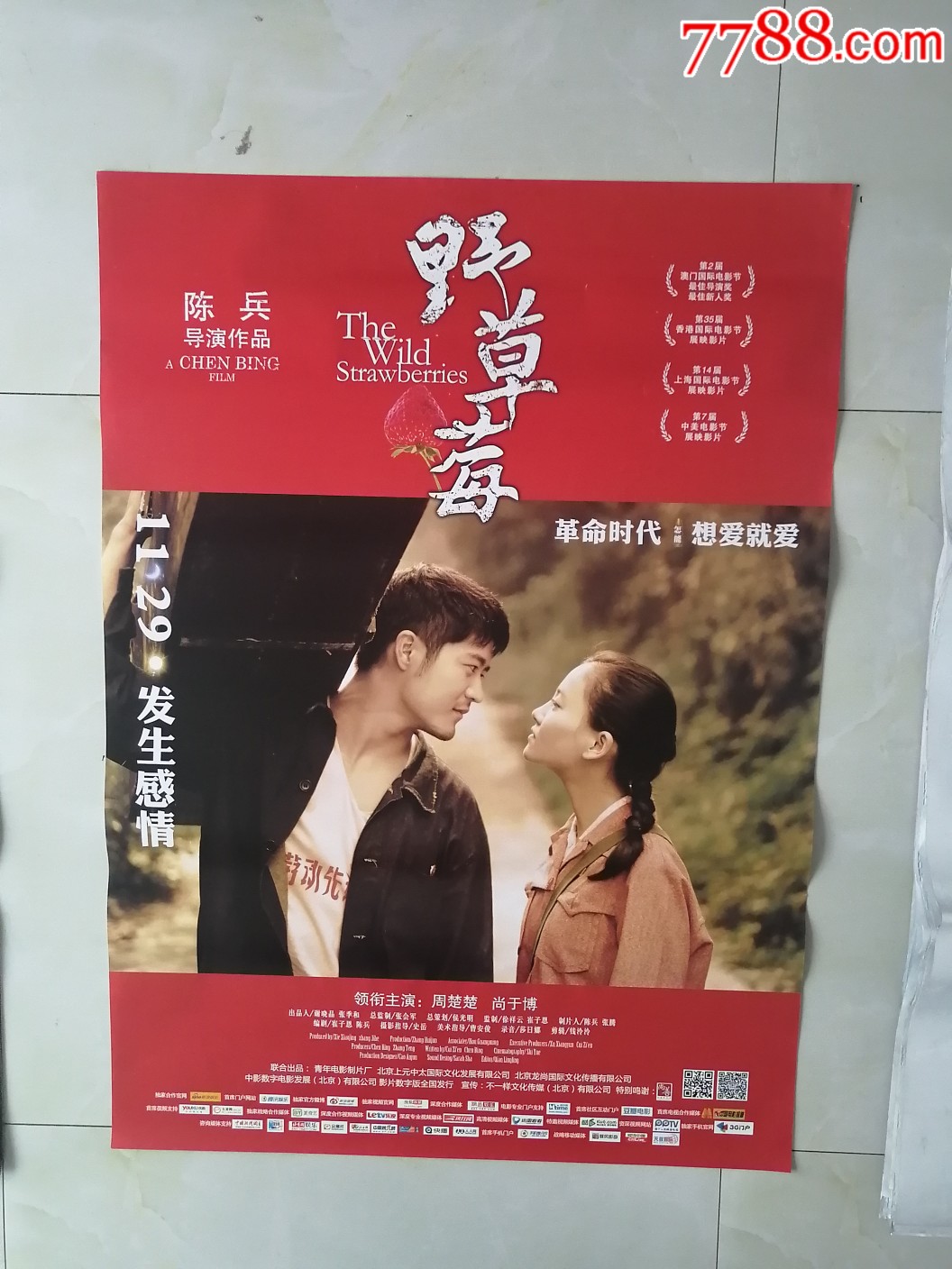 野草莓-电影海报-7788电影海报