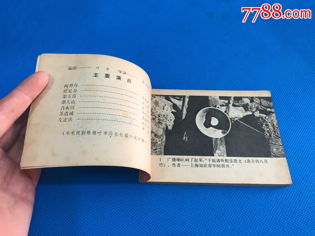 蹉跎岁月(下集)