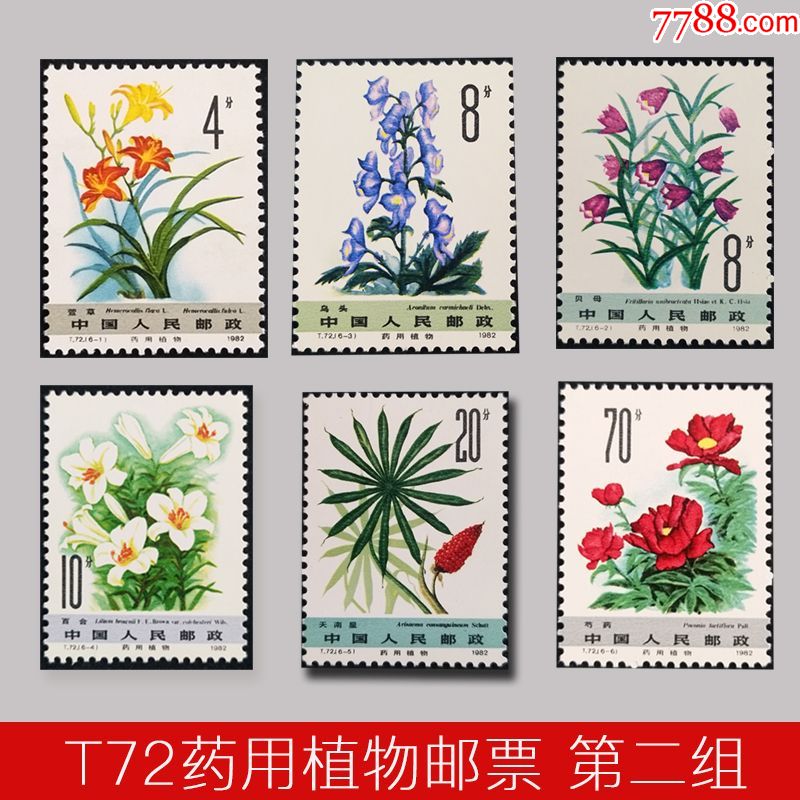 t72药用植物邮票第二组