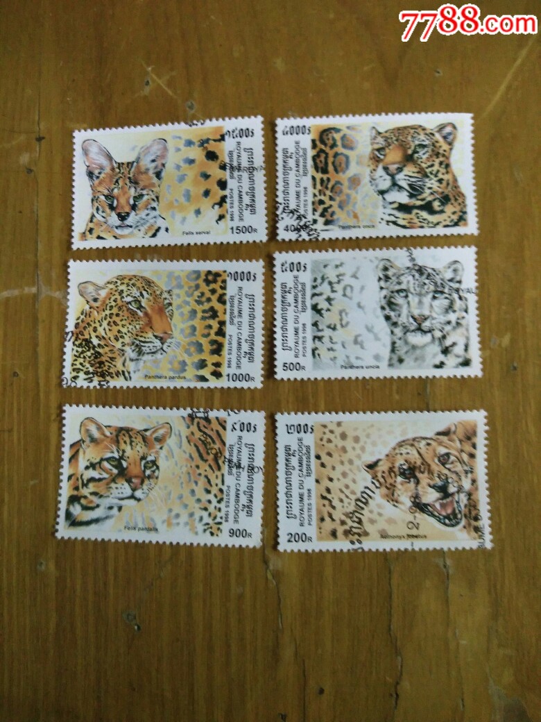 1998年柬埔寨大型猫科动物邮票6枚盖销
