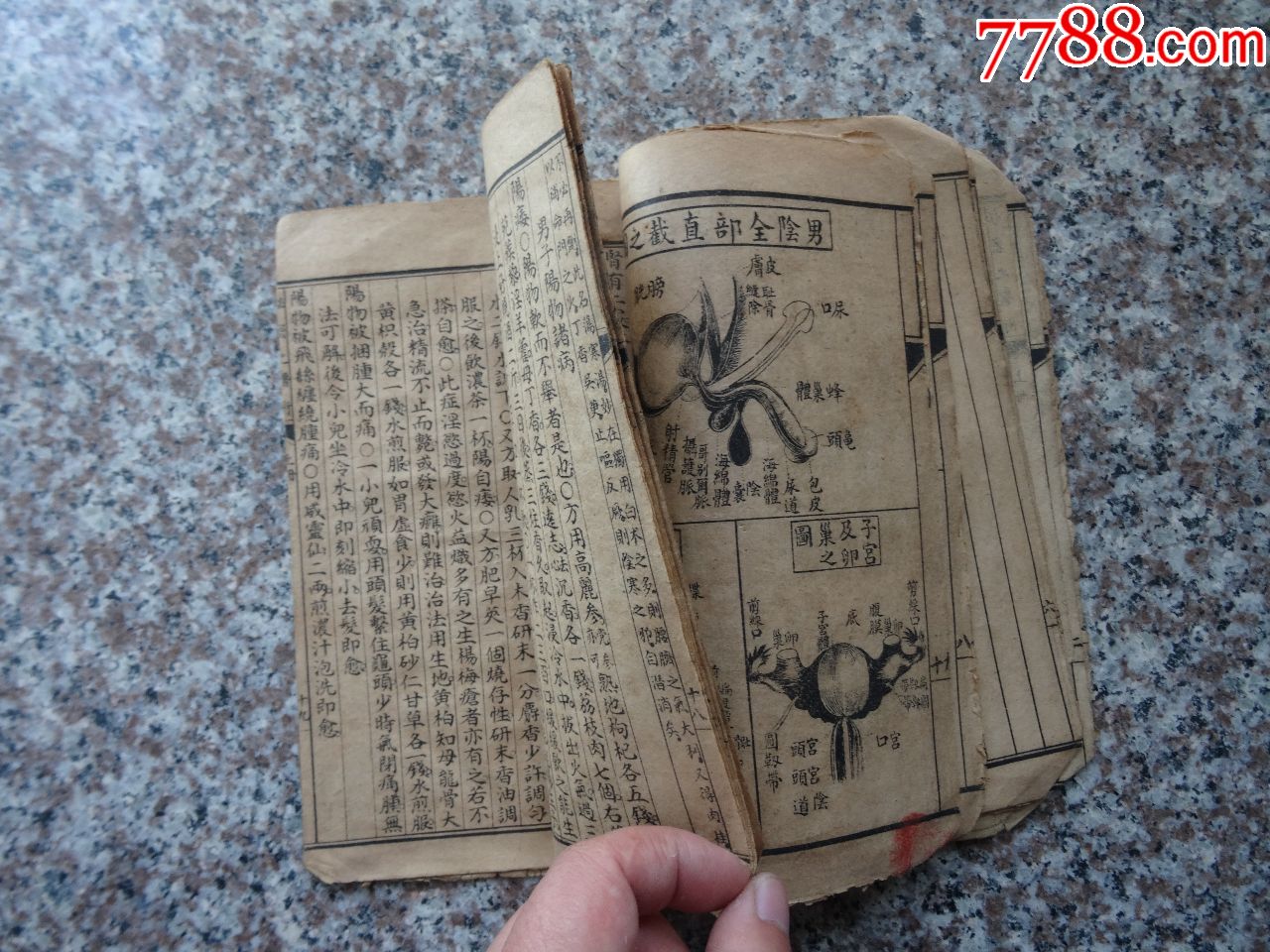 房中男女*密医术(仅有上册)