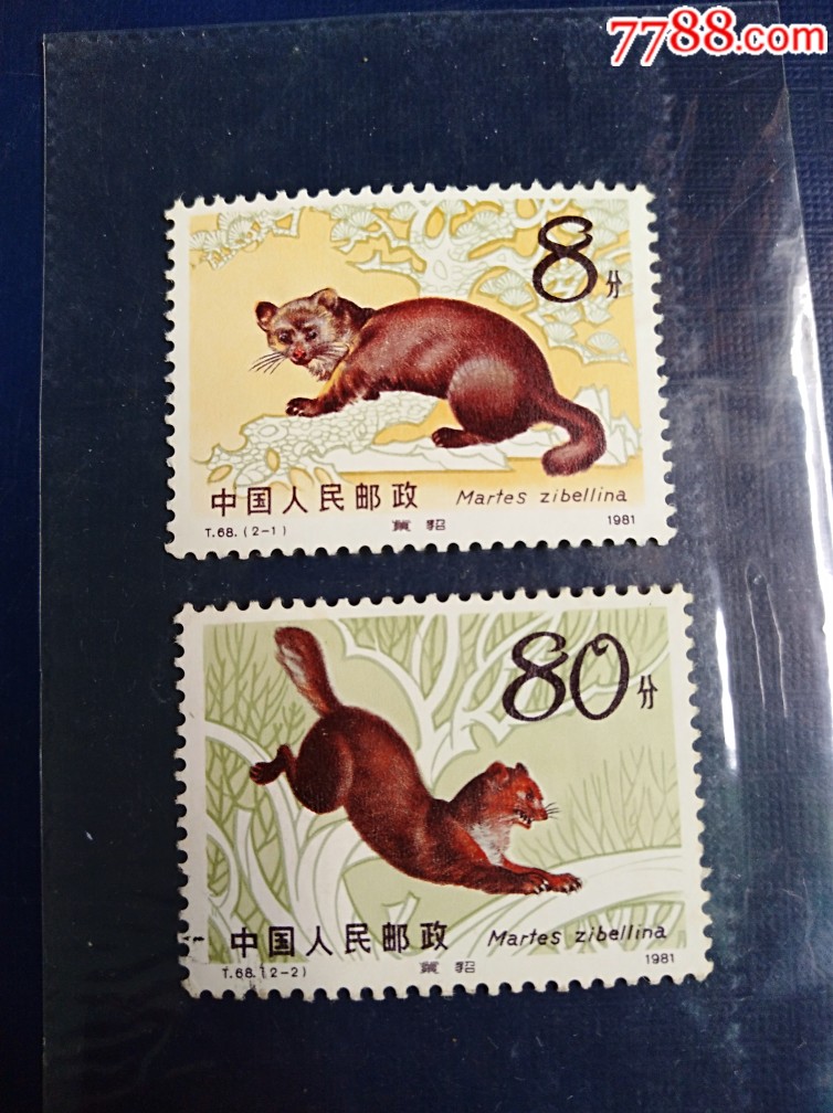 邮票t68紫貂