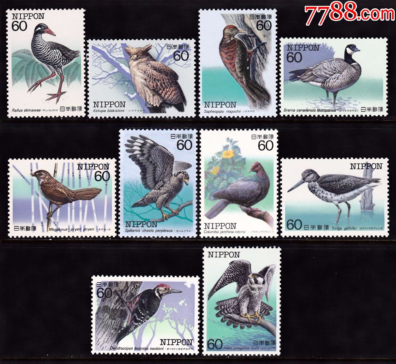 日本邮票c958特殊鸟类10枚大全套原胶全品新票