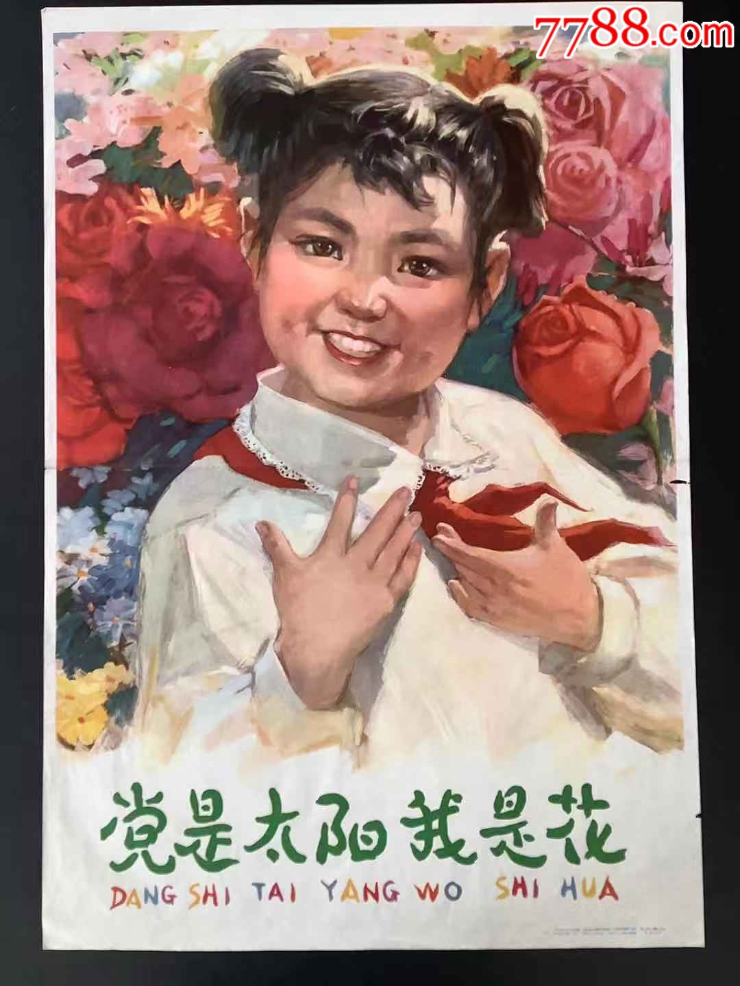 党是太阳我是花