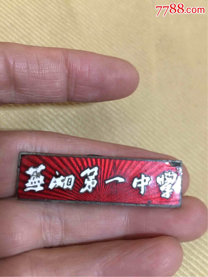 安徽芜湖学校章