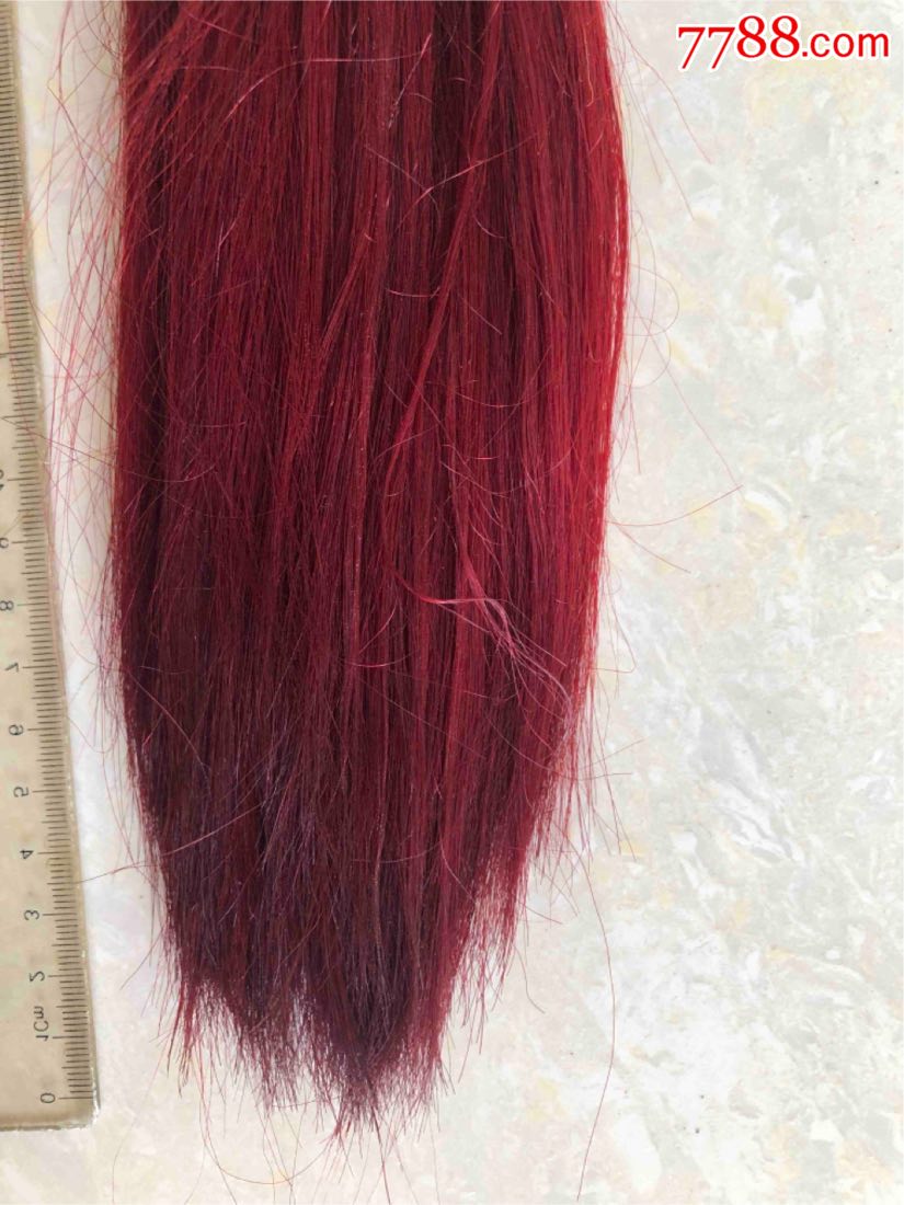 清代官员帽上的帽缨骆驼毛