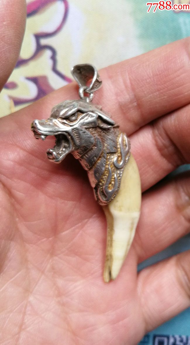 狼头银造型包老狼牙挂件一个工艺精美辟邪霸气