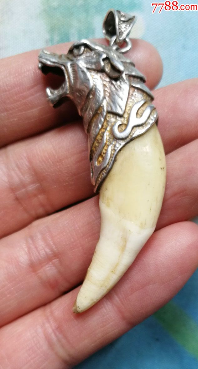 狼头银造型包老狼牙挂件一个工艺精美辟邪霸气
