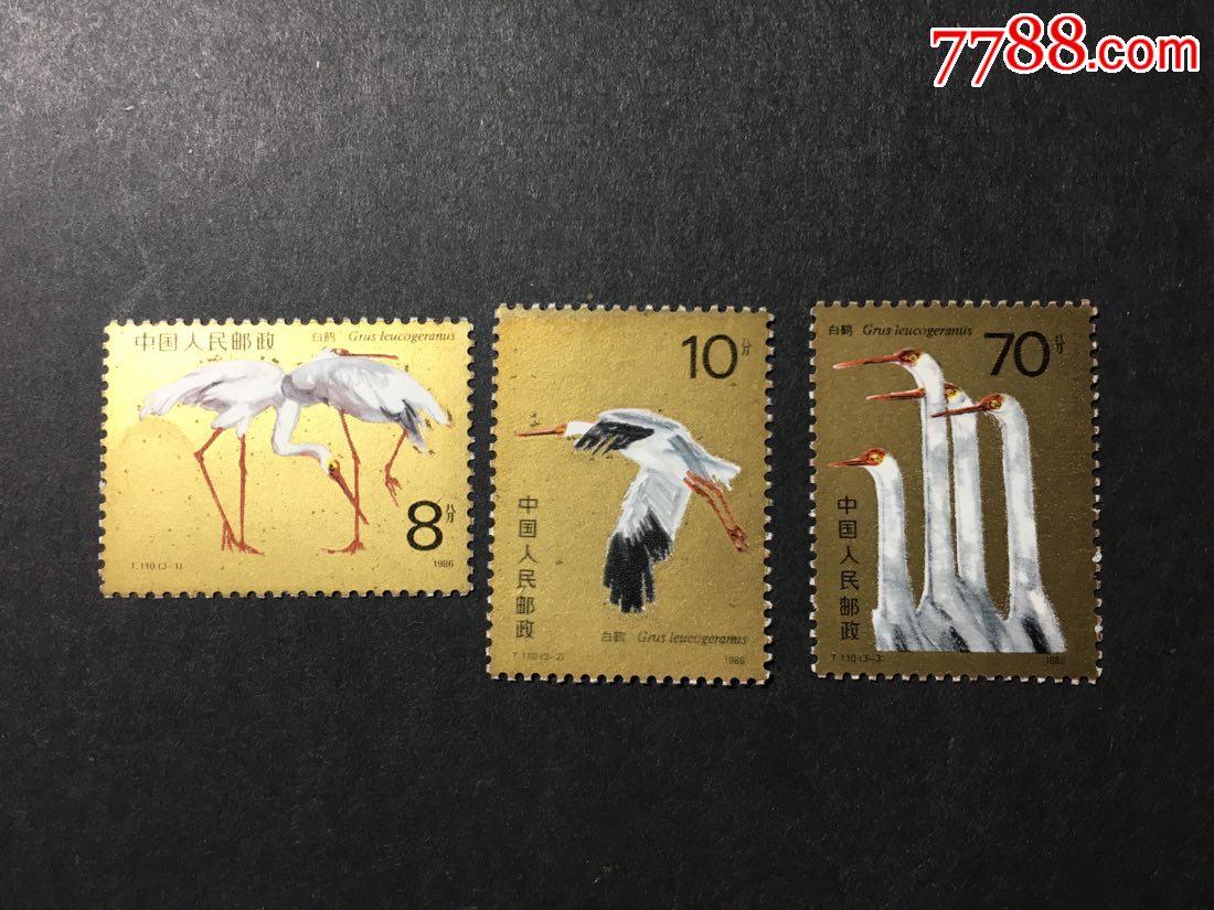t110白鹤,新中国邮票_第1张_7788邮票收藏