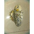 贝壳摆件(se69504225)_7788收藏__收藏热线
