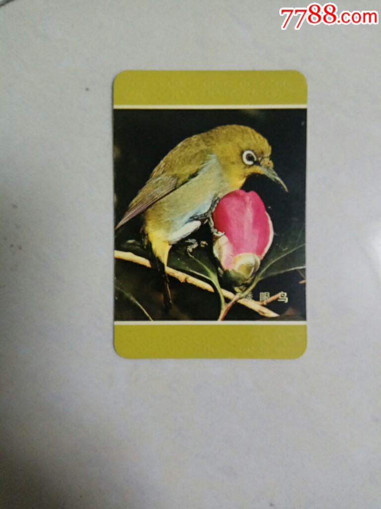 1984年年历卡:绣眼鸟_价格3元_第1张_7788收藏__收藏热线