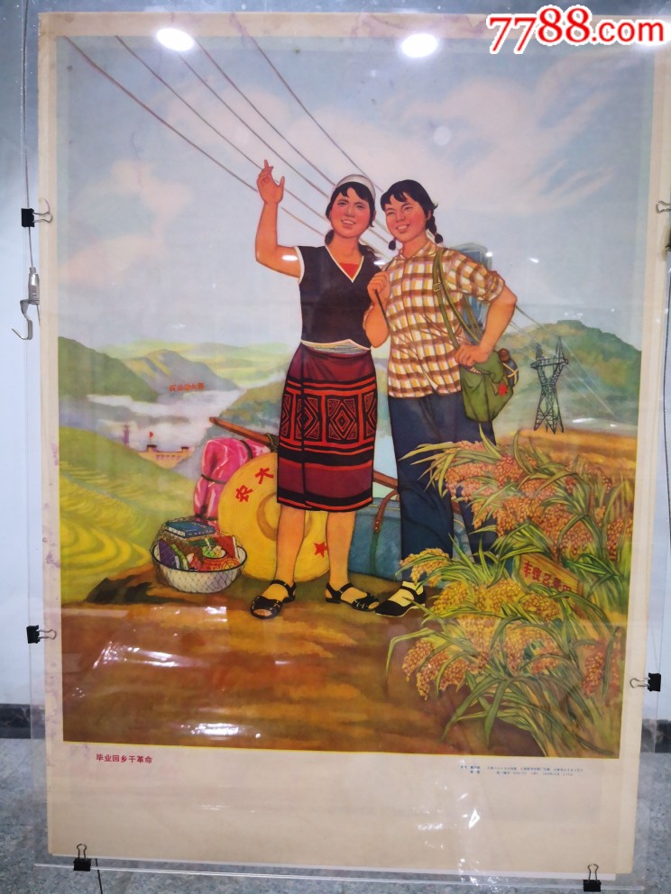 毕业回乡干革命,对开1976年_年画/宣传画_不种地的农民【7788收藏