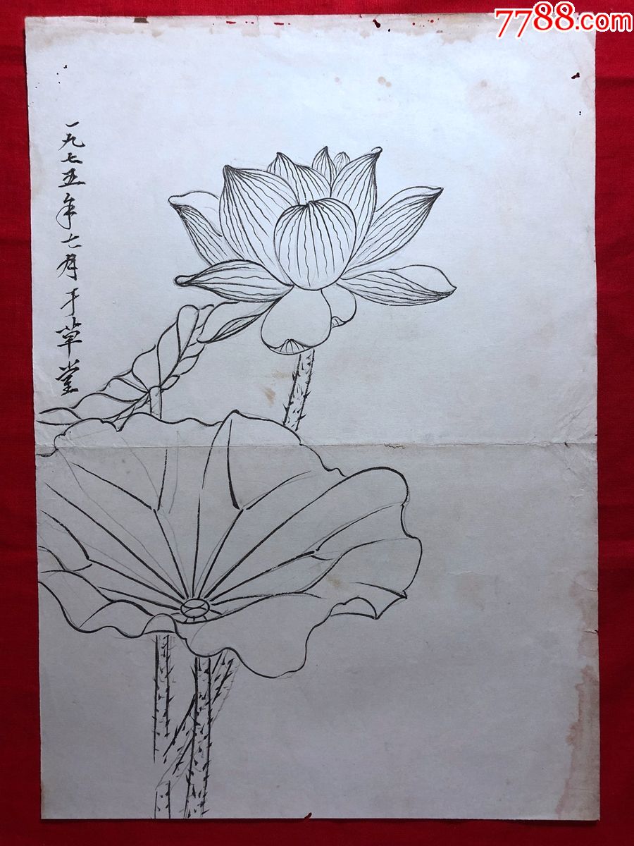 书画原作2931,巴蜀画派·名家【江溶】70年代工笔白描,荷花-花鸟国画